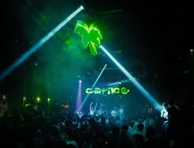 Palma al neon e fasci di luce sopra la consolle Caribe